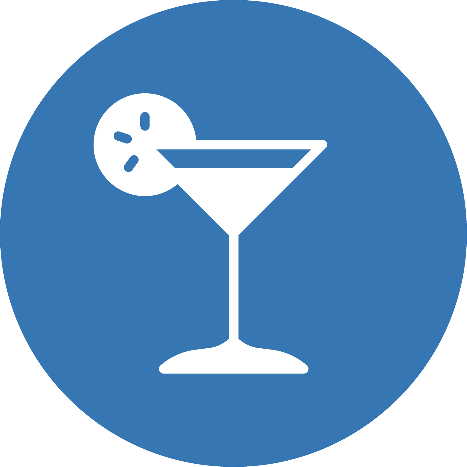 martini glass with fruit slice