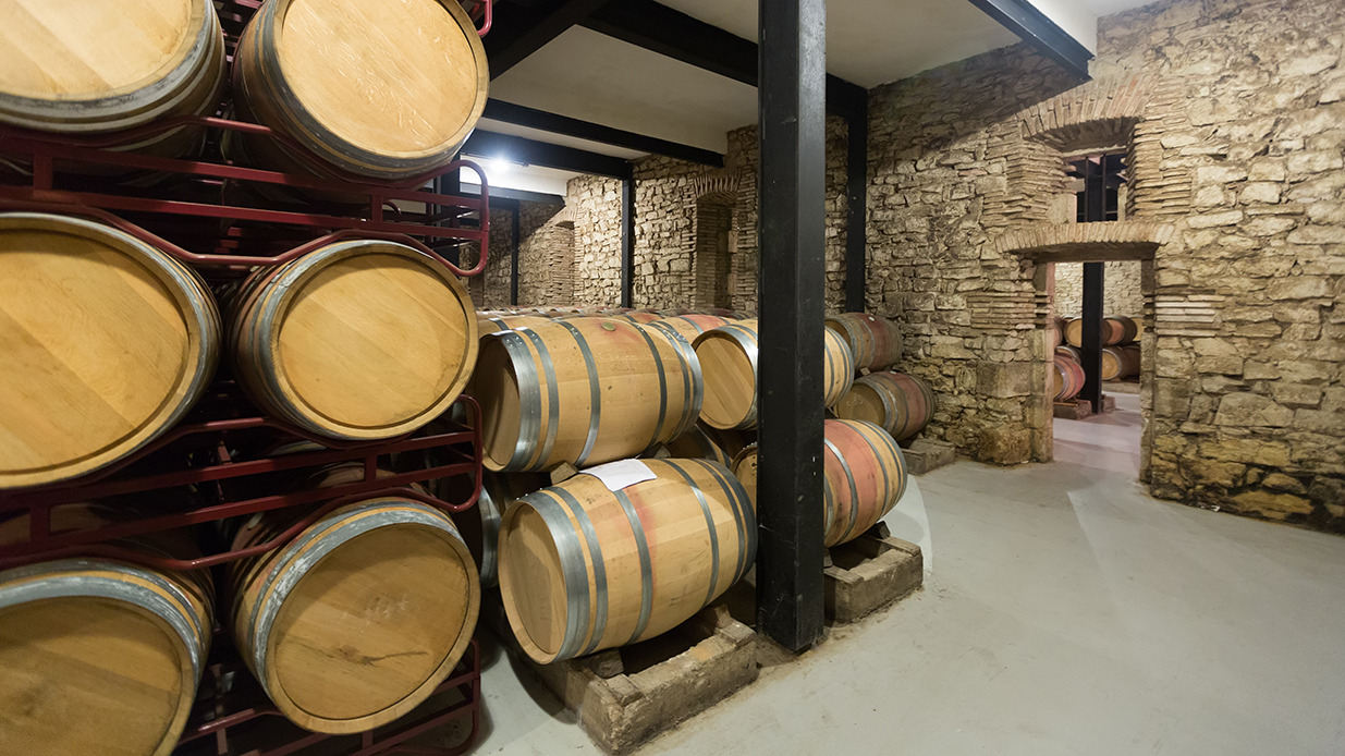 Wine Barrels in cellar